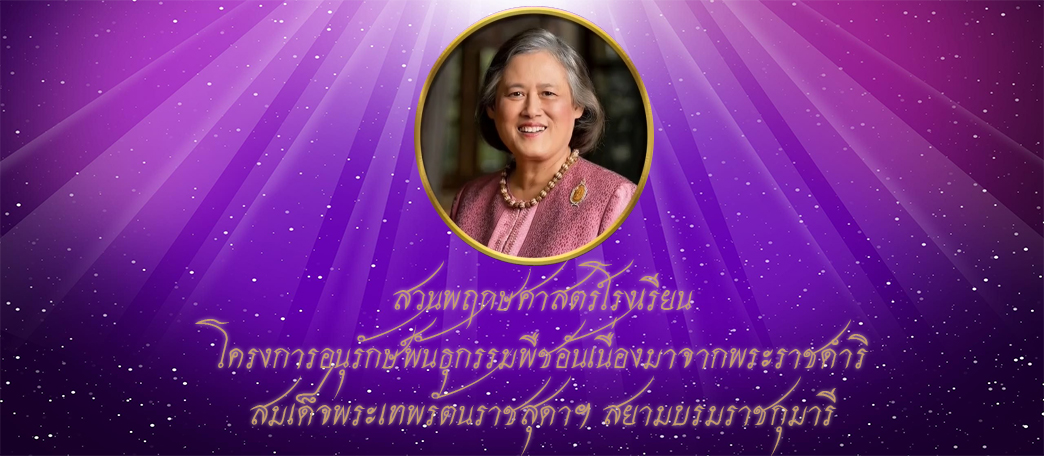 โลโก้