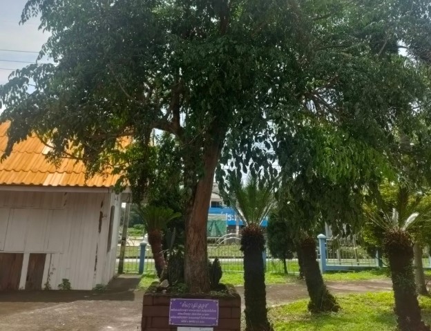 ภาพ